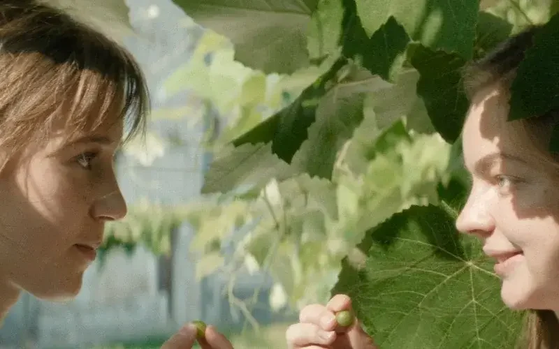 Little Trouble Girls Parents Guide