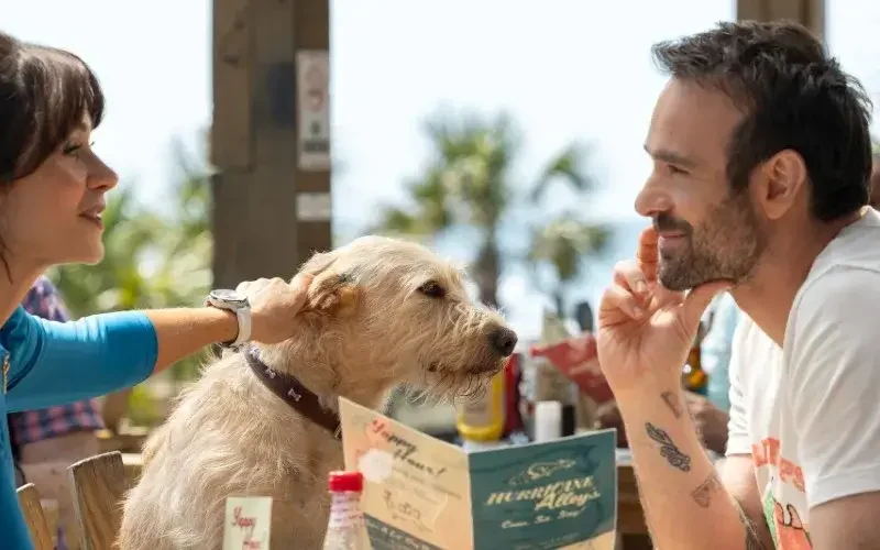 Merv (2025) Parents Guide