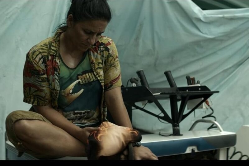 Curlew's Call Parents Guide 2026 — Is It Safe for Kids?