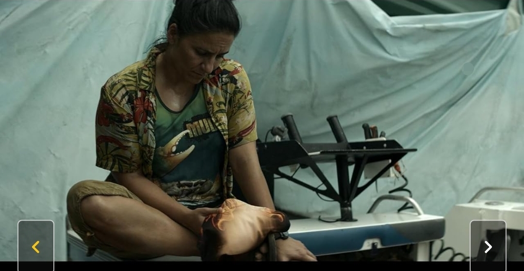 Curlew's Call Parents Guide 2026 — Is It Safe for Kids?