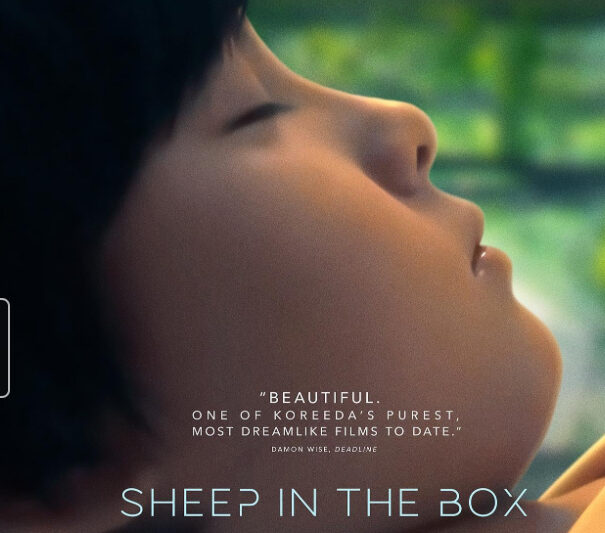 Sheep in the Box Parents Guide: Age Rating, Content Warnings & What Families Need to Know