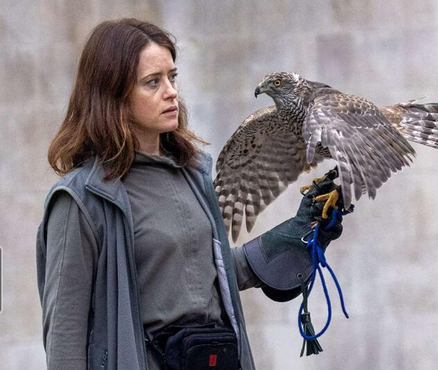 H Is for Hawk Parents Guide: Age Rating & Content Advice for Families (2026)
