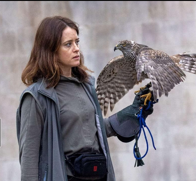 H Is for Hawk Parents Guide: Age Rating & Content Advice for Families (2026)